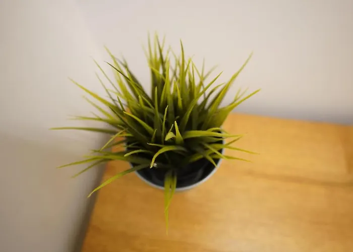 Dom wakacyjny Antica Pepice *